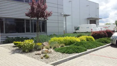 Collage Architektura Zieleni